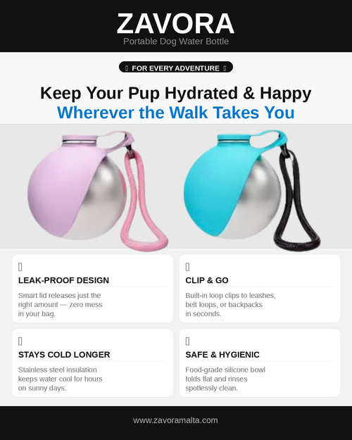 Portable Dog Water Bottle